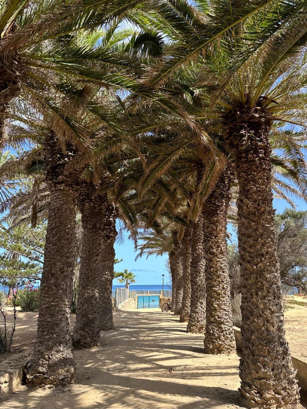 Quinta Do Ribeiro Salgado'S Beach House بورتو سانتو المظهر الخارجي الصورة